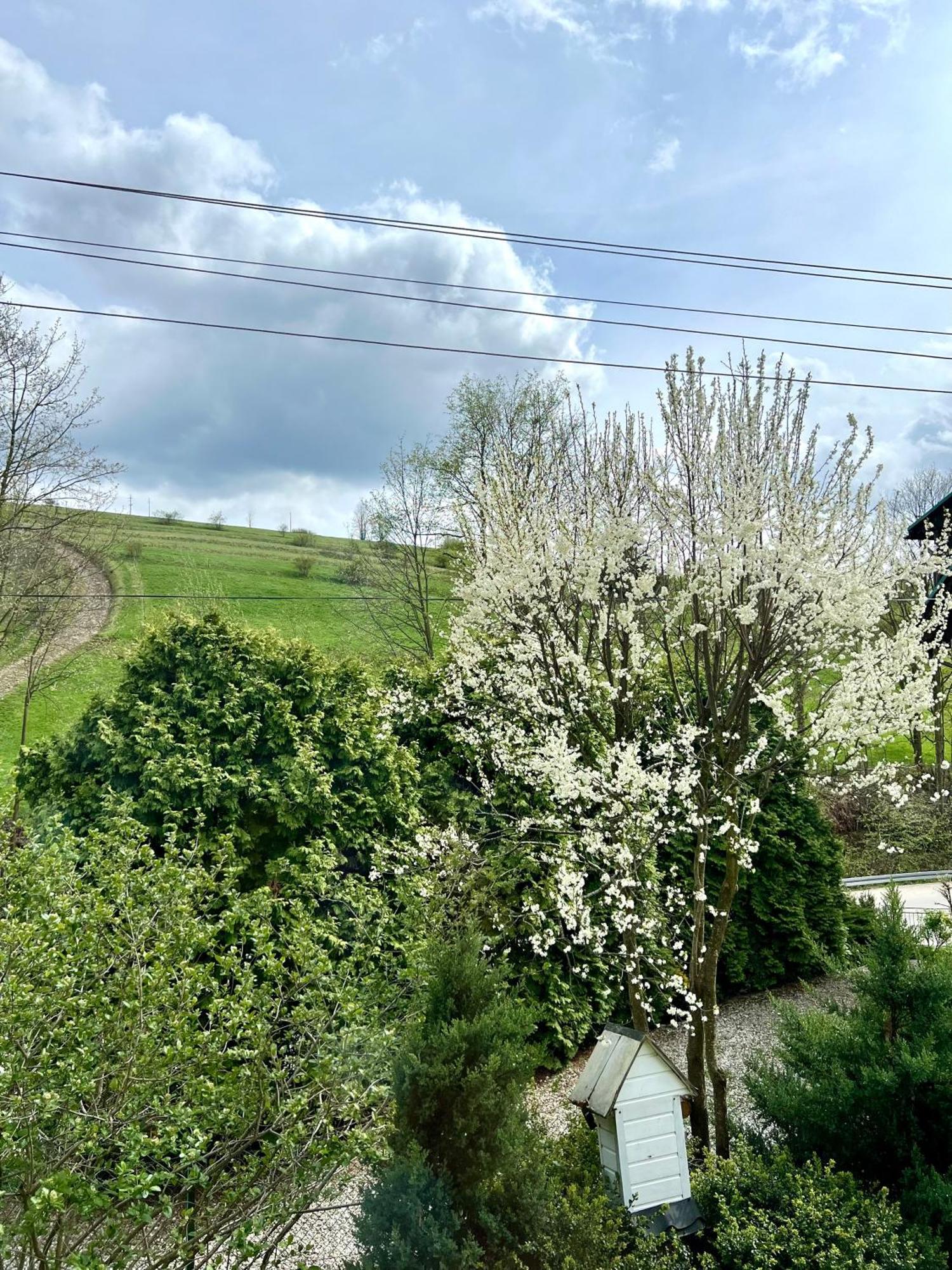 Agrodomek Rzepiska Bagian luar foto
